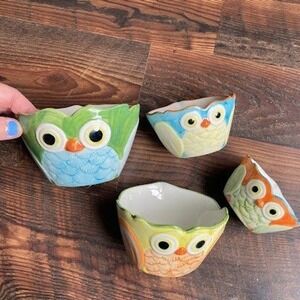 Ceramic Owl Nesting Measuring Cups Set of 4 Multicolor Hand Painted Stoneware